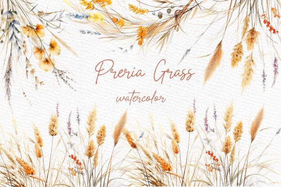 Boho Pampas Grass Clipart: A Designer's Guide