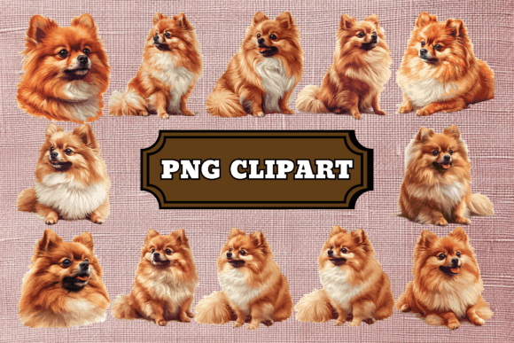 Pomeranian Dog Clipart Bundle: Your Design Toolkit