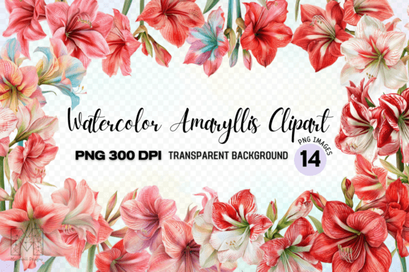 Watercolor Amaryllis Flowers Clipart: A Designer's Guide to Botanical Elegance